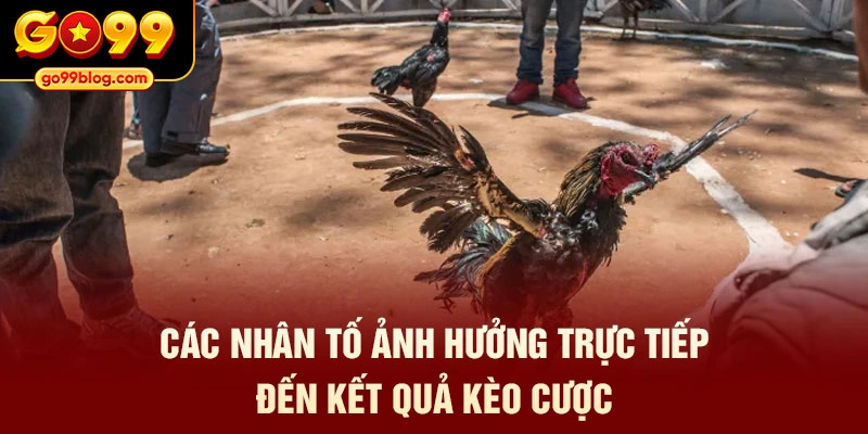 Các nhân tố ảnh hưởng trực tiếp đến kết quả kèo cược