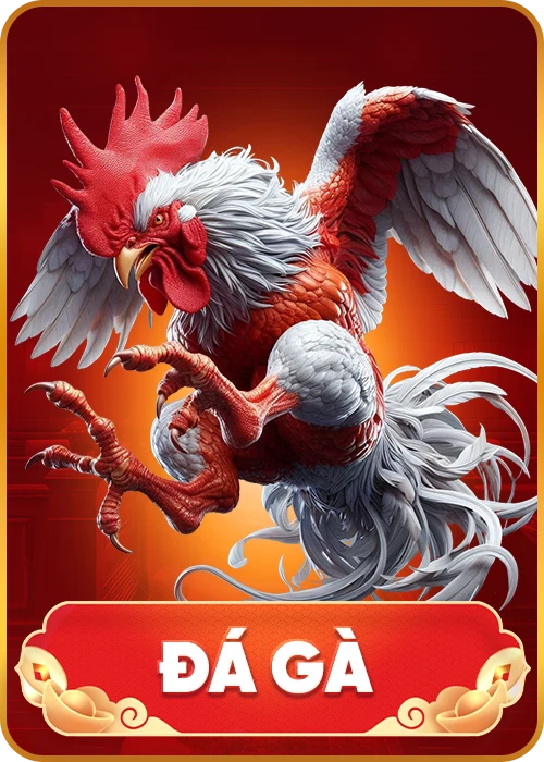 đá gà