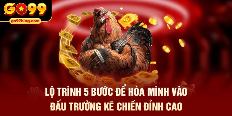 Lộ trình 5 bước để hòa mình vào đấu trường kê chiến đỉnh cao