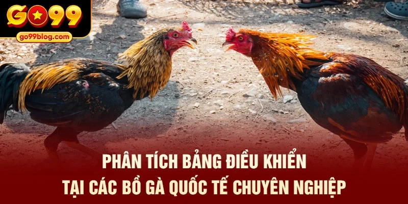 Phân tích bảng điều khiển tại các bồ gà quốc tế chuyên nghiệp