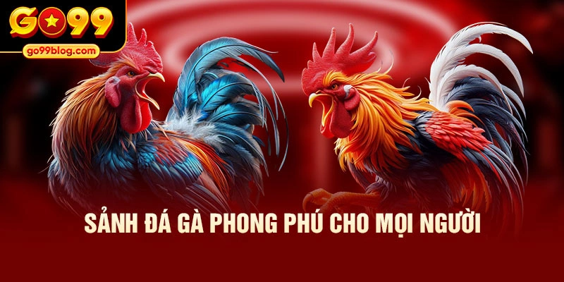 Sảnh đá gà phong phú cho mọi người
