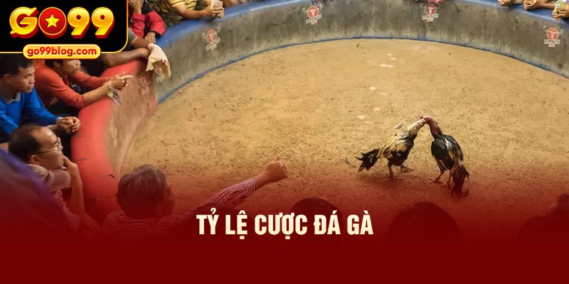 Tỷ lệ cược đá gà